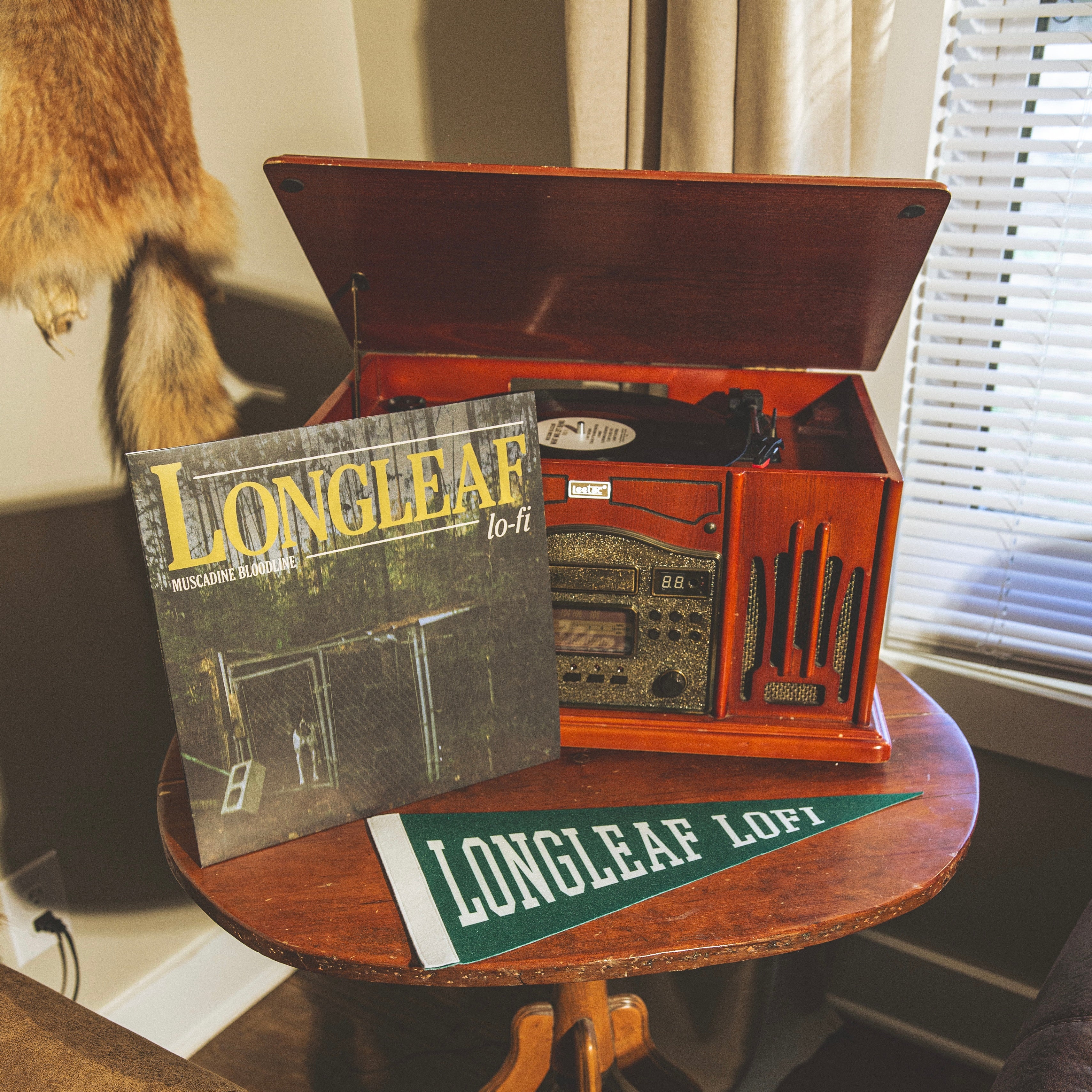 Record Pennant - Image 6